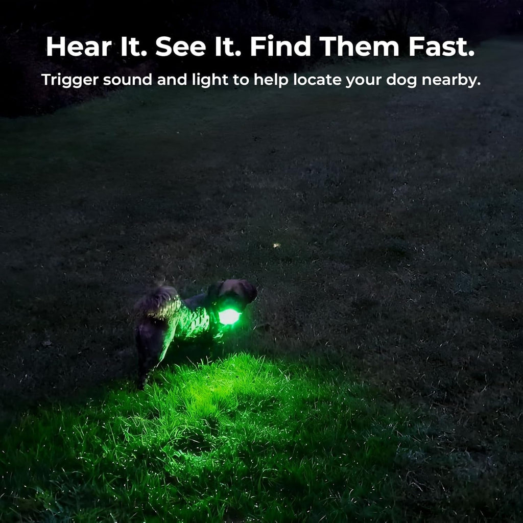 GPS Dog Tracker No Subscription Off Grid Large Dogs Waterproof 7 Day