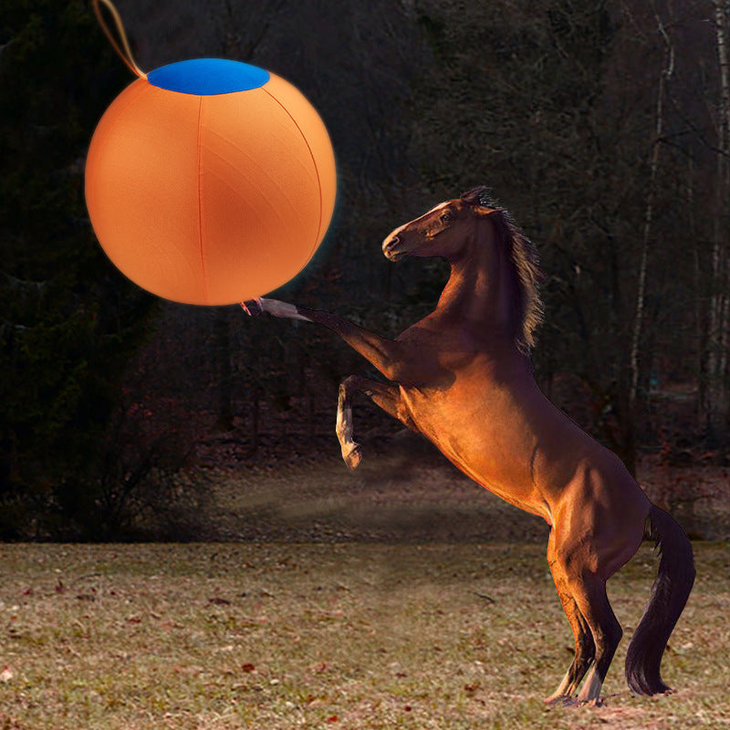 Giant Dog Ball Toy