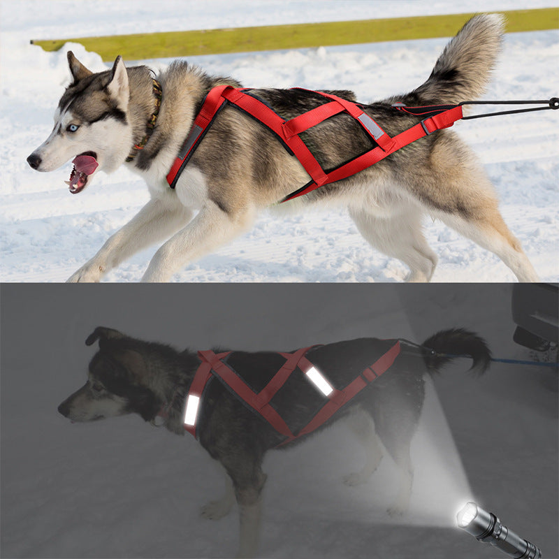 Large Dog Vest Alaska Sled Dog