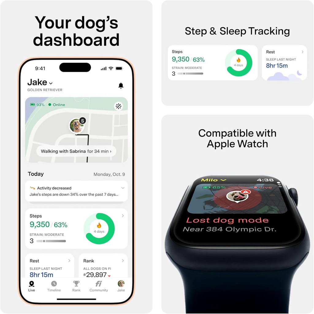 Fi Series 3+ Smart GPS Dog Tracker Collar Health Monitor Waterproof LED
