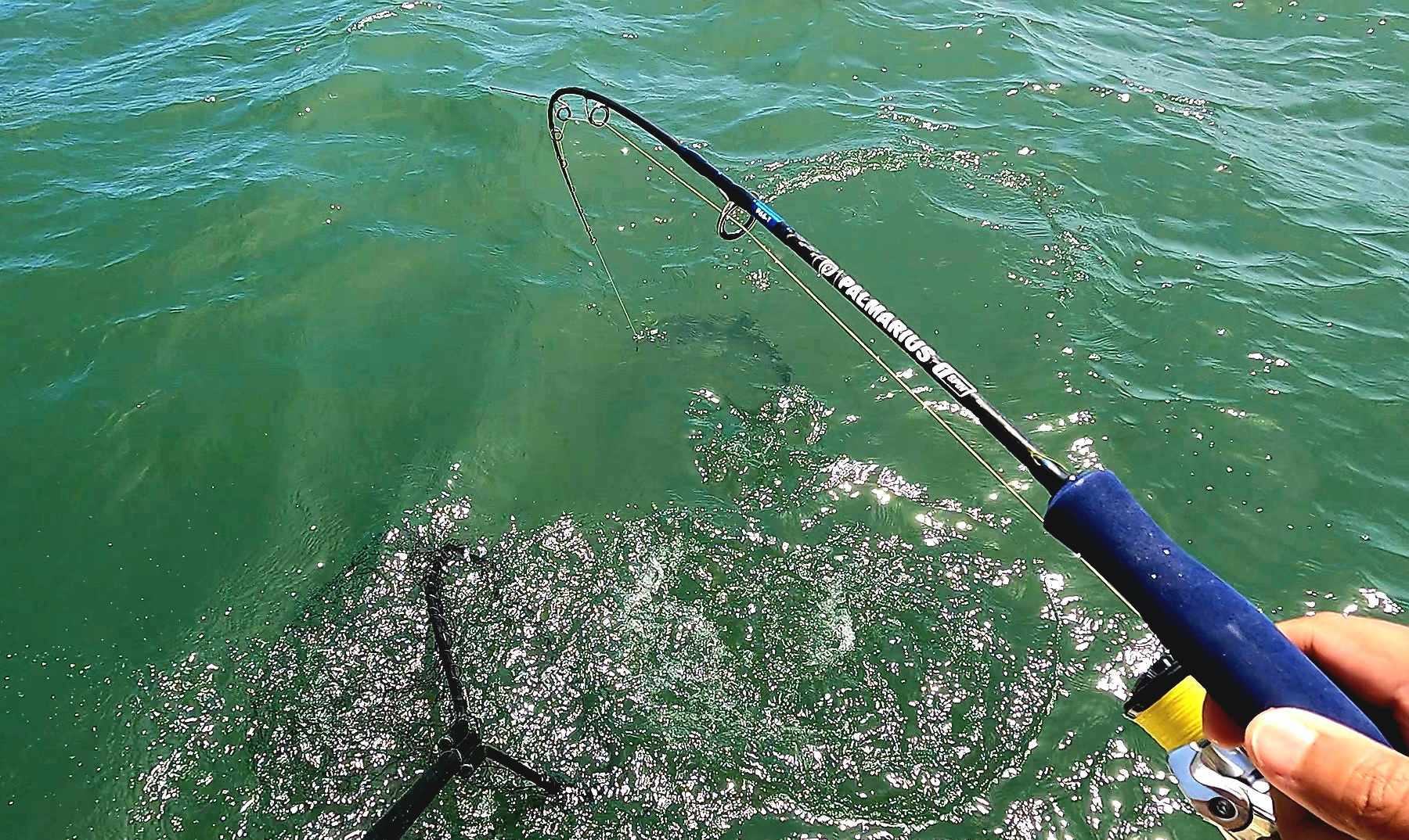 Palmarius P+ Blue EVA Slow Pitch Jigging Rods