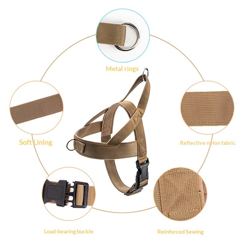 Dog Vest-style Collar And Harness