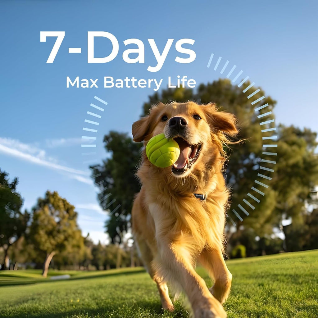 GPS Dog Tracker No Subscription Off Grid Waterproof