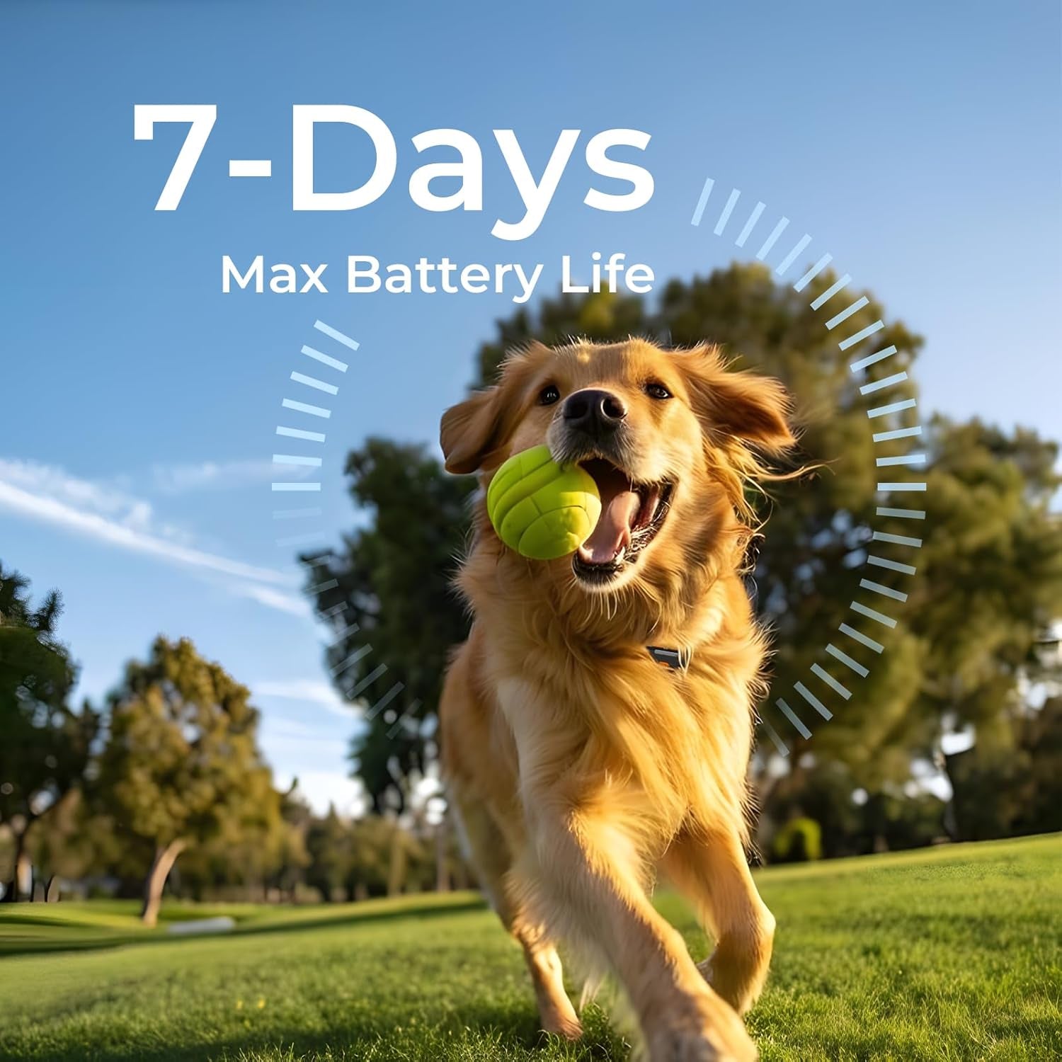 GPS Dog Tracker No Subscription Off Grid Waterproof