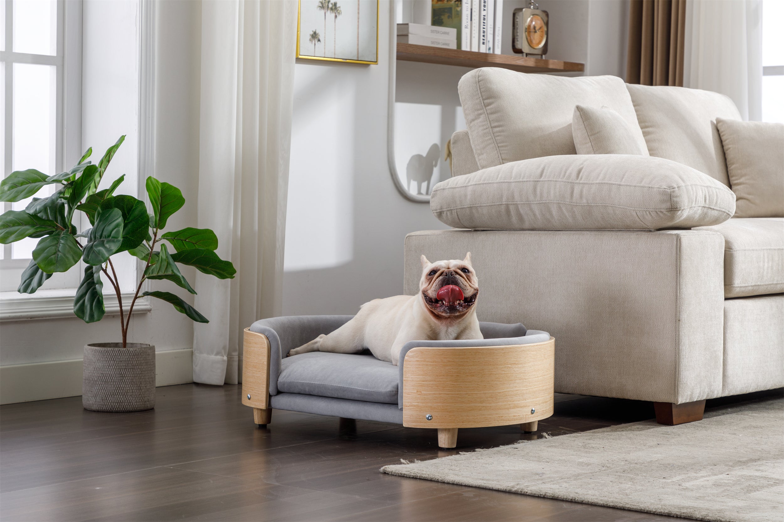 Scandinavian Style Elevated Dog Bed Sofa Velvet Cushion Mid Size Light Grey