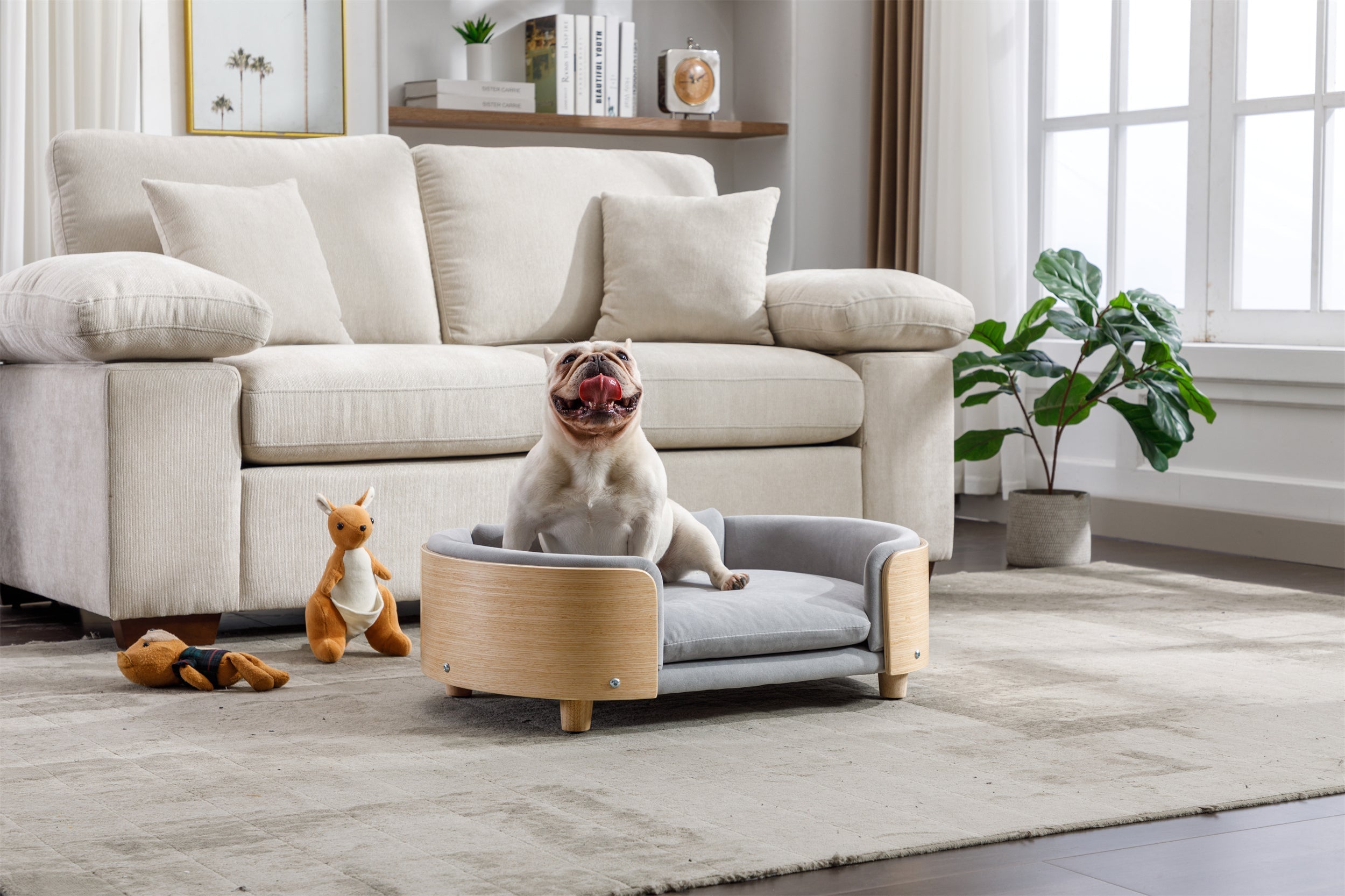 Scandinavian Style Elevated Dog Bed Sofa Velvet Cushion Mid Size Light Grey
