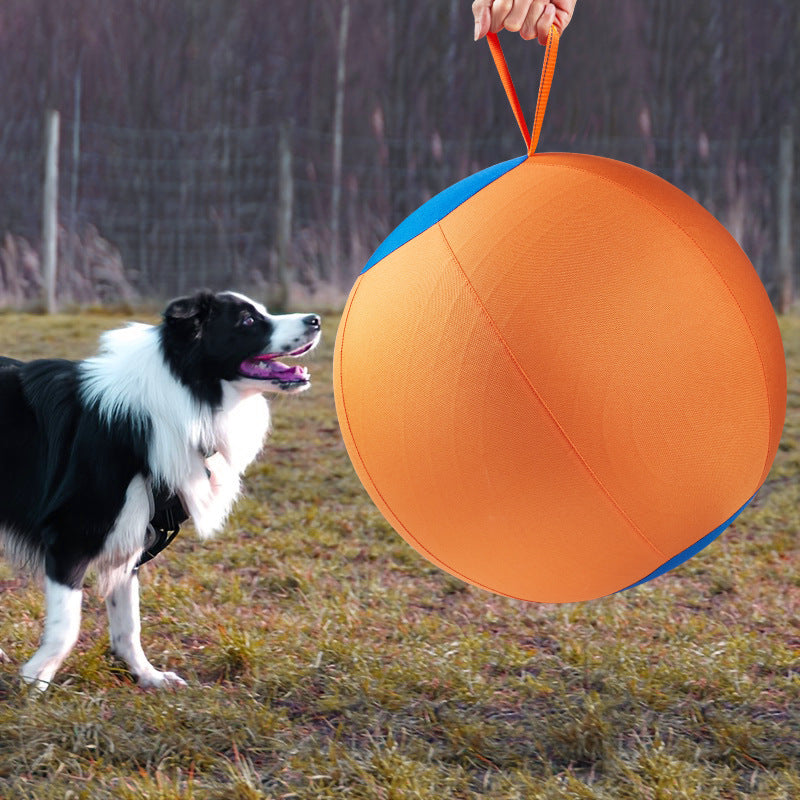 Giant Dog Ball Toy