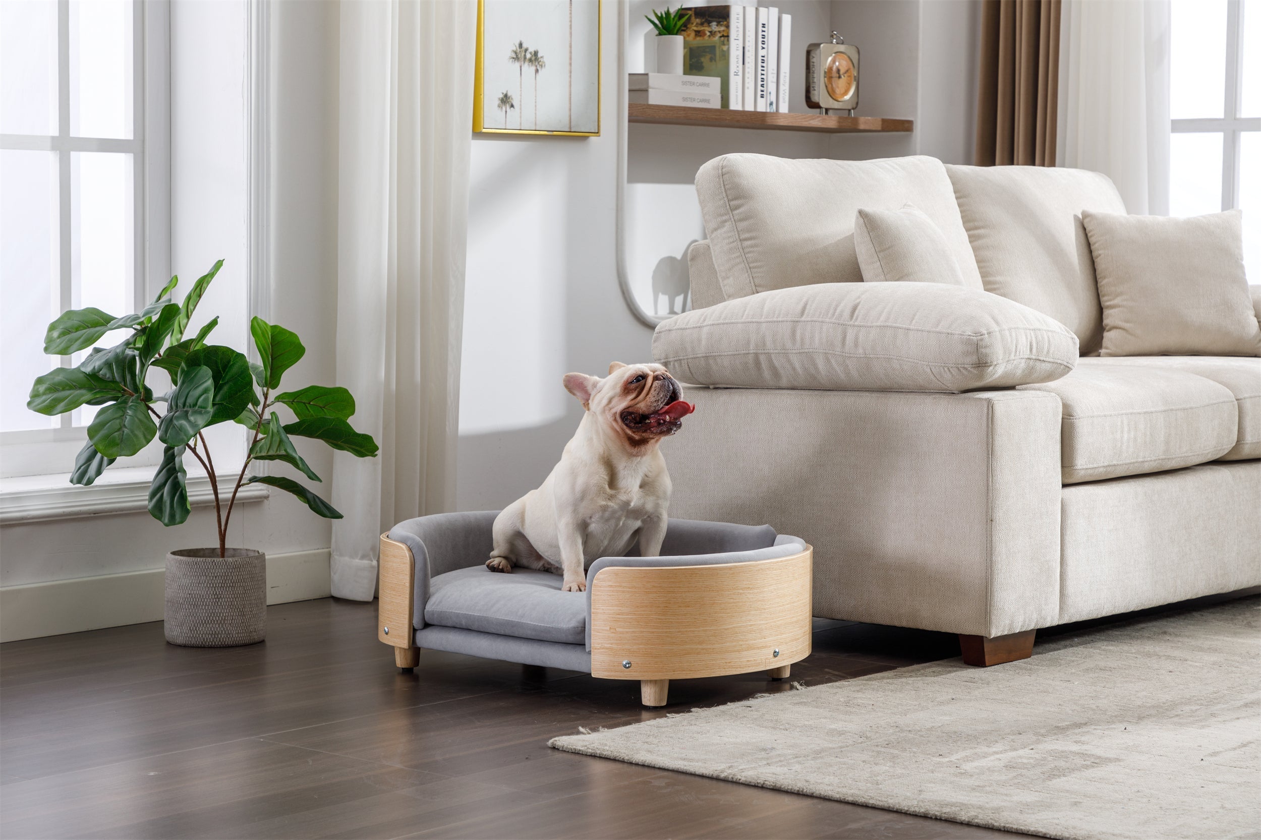 Scandinavian Style Elevated Dog Bed Sofa Velvet Cushion Mid Size Light Grey