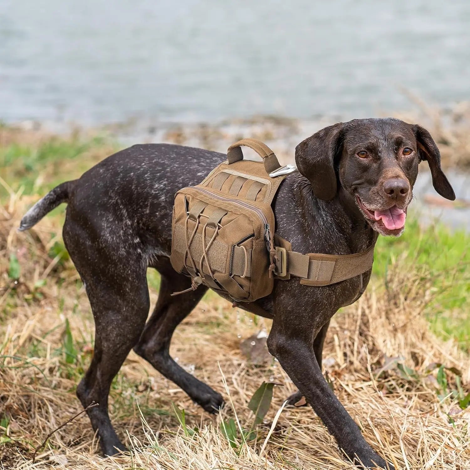 Dog Backpack Tactical Saddle Bag for Hiking & Camping
