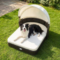 Rattan Pet Daybed with Adjustable Canopy for Small & Medium Dogs