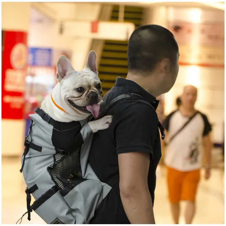 Pet Dog Carrier Travel Backpack Ventilation Sport Mesh