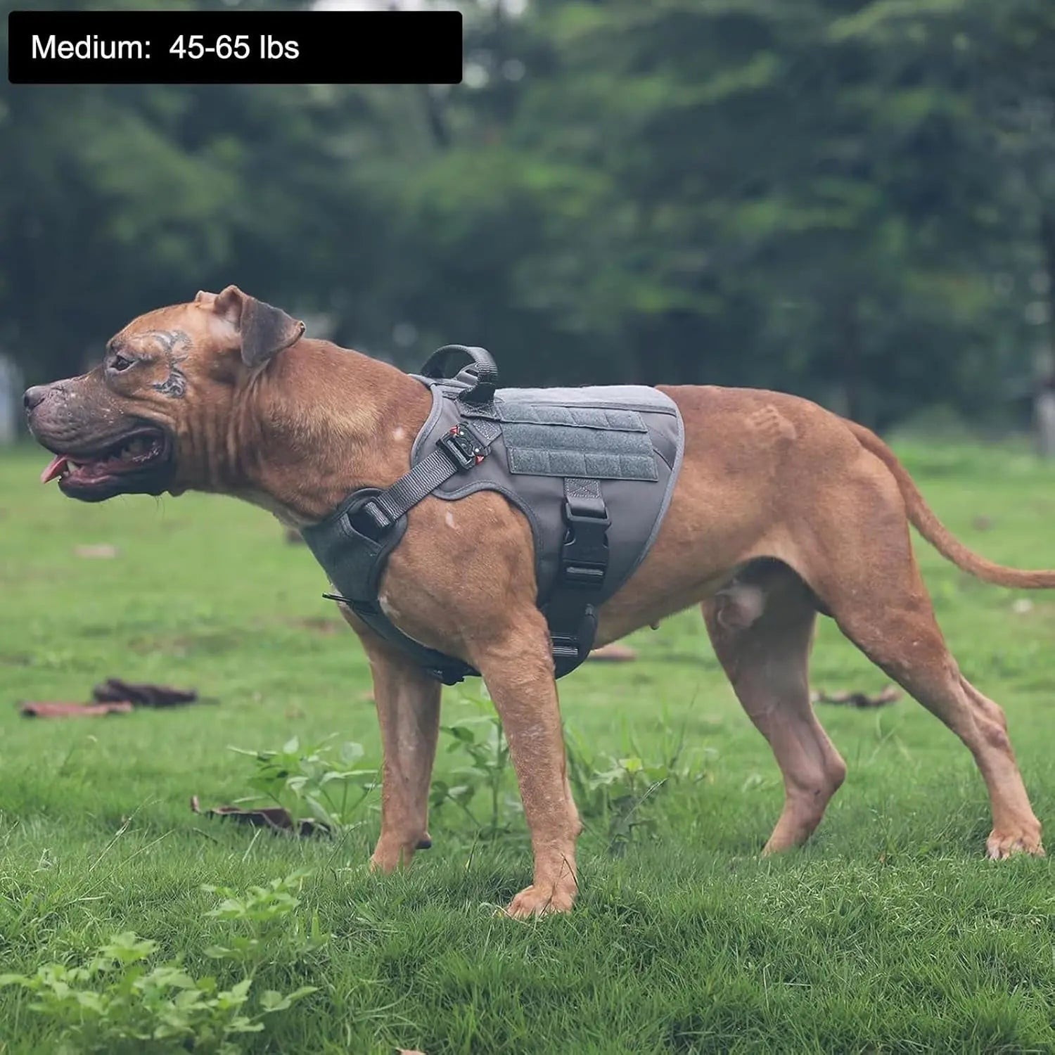 No-Pull Tactical Dog Harness with Handle & MOLLE Vest Adjustable