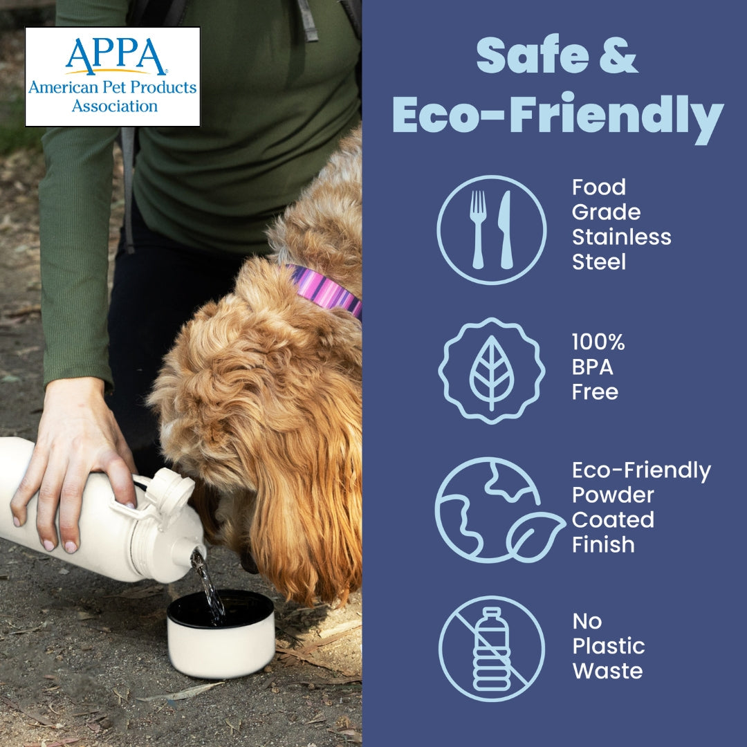 Dog + Human Water Bottle with Detachable  Bowl