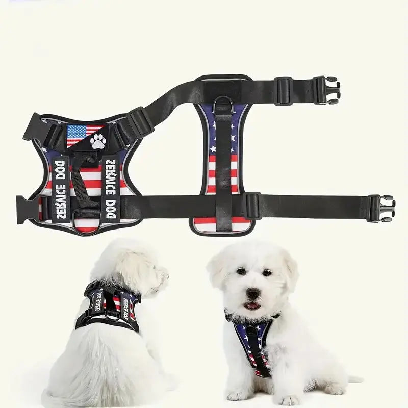 Dog Harness And Leash Set, Escape Proof