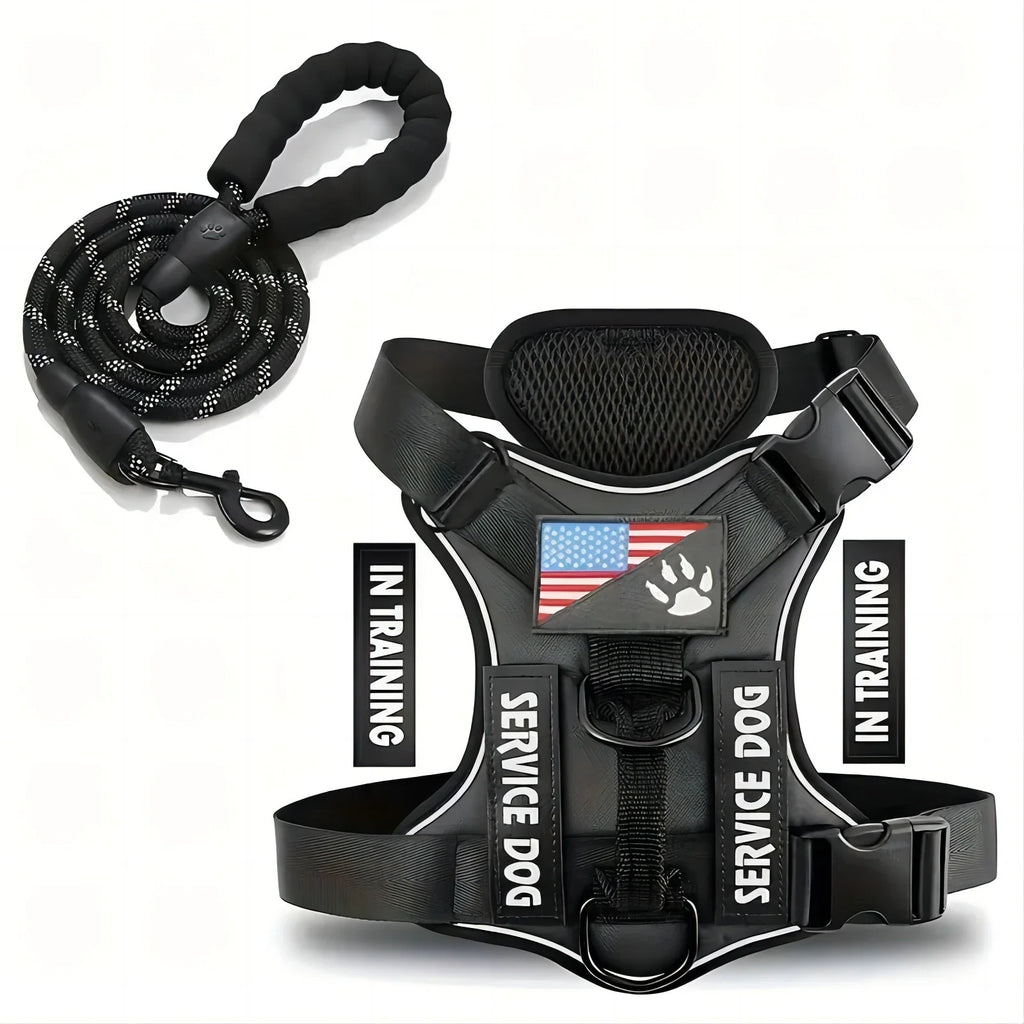 Dog Harness And Leash Set, Escape Proof