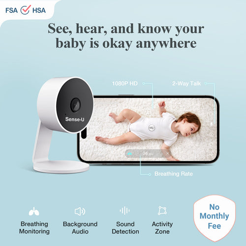AI Indoor Cam use for baby and pets