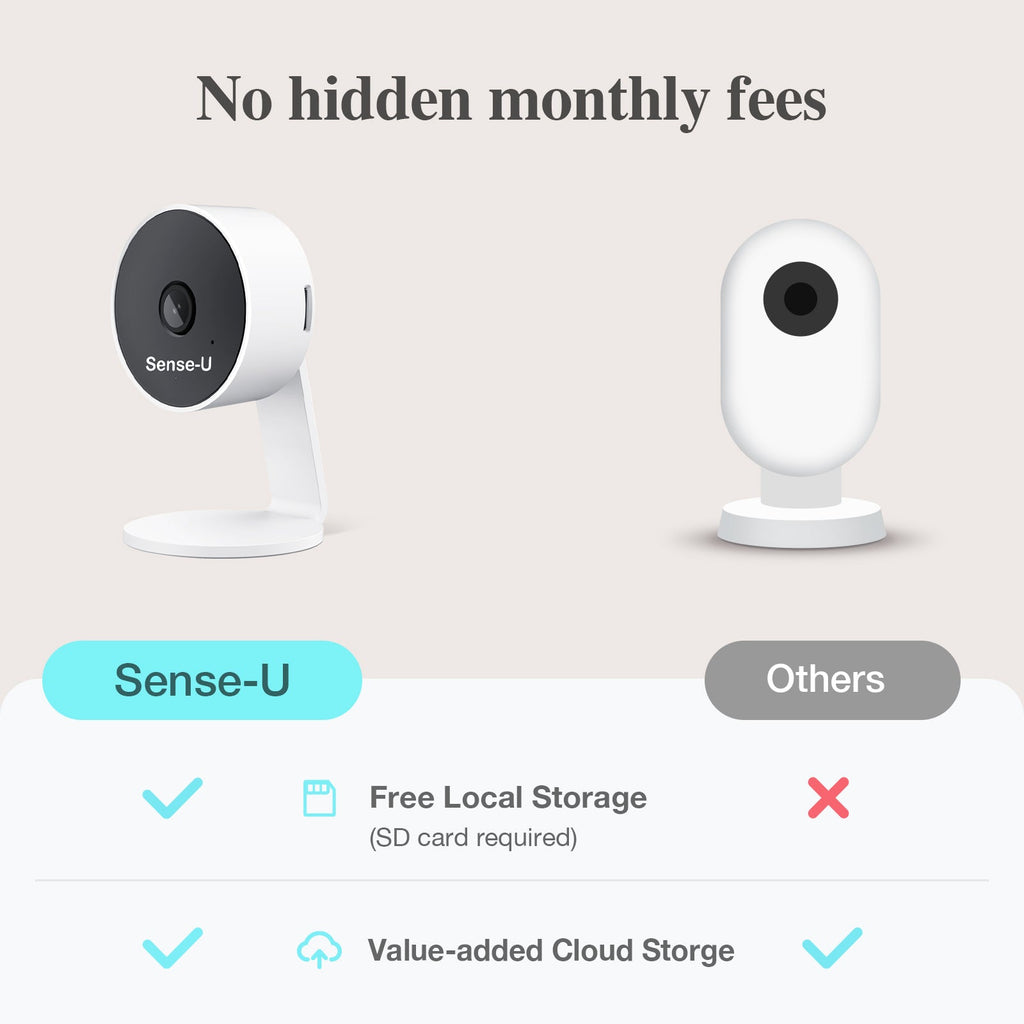 AI Indoor Cam use for baby and pets