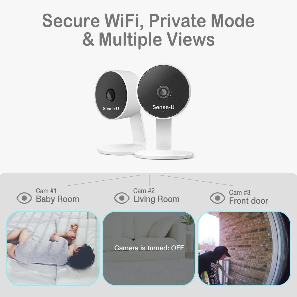 AI Indoor Cam use for baby and pets