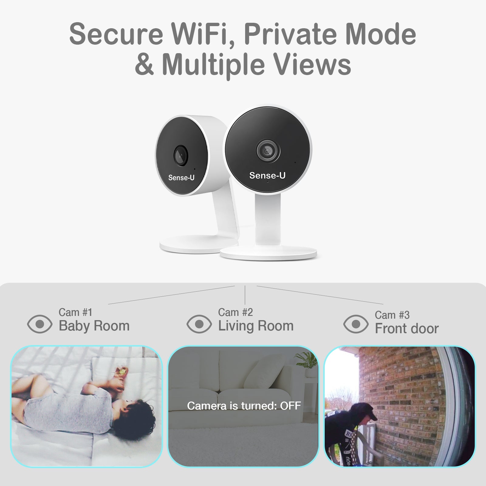 AI Indoor Cam use for baby and pets