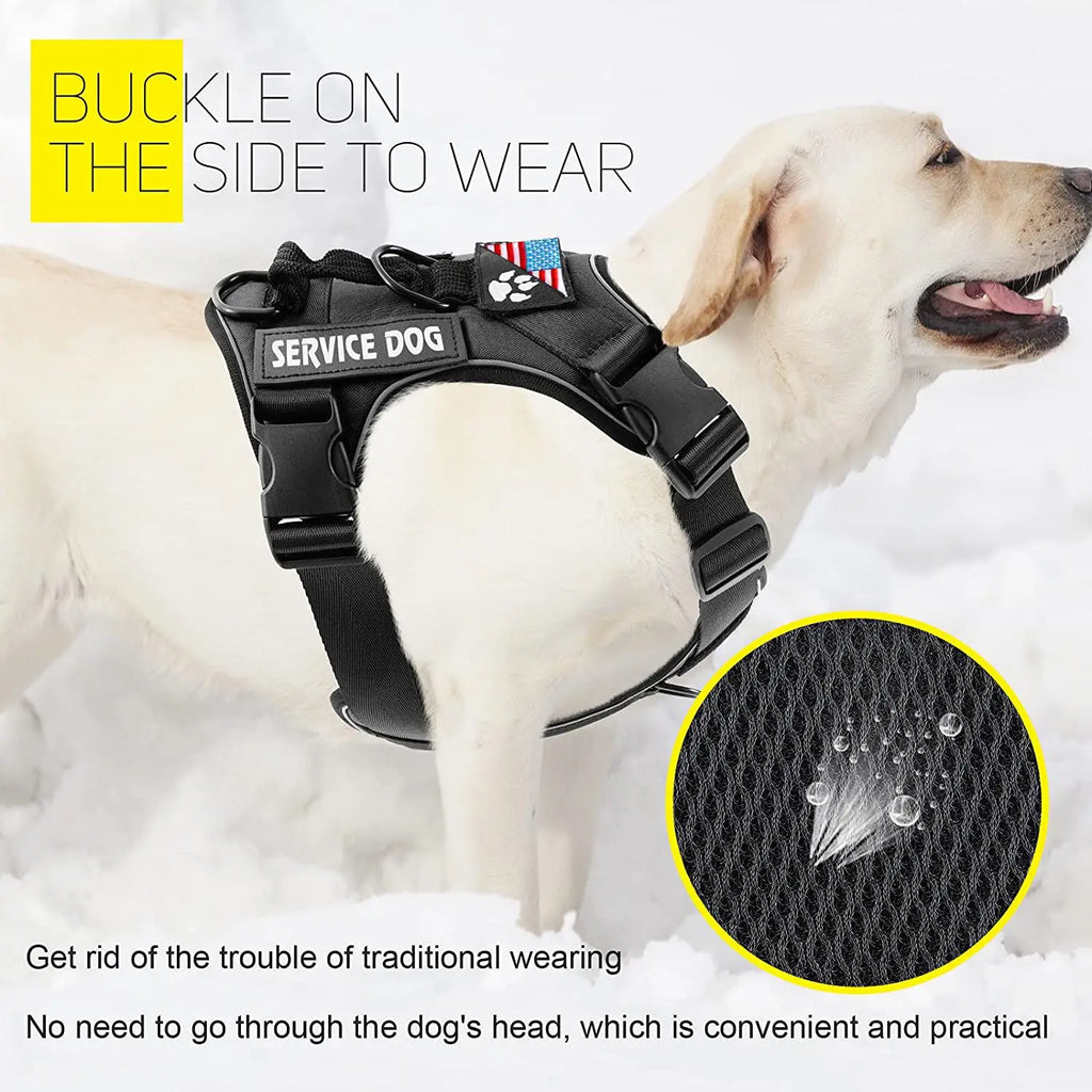Dog Harness And Leash Set, Escape Proof