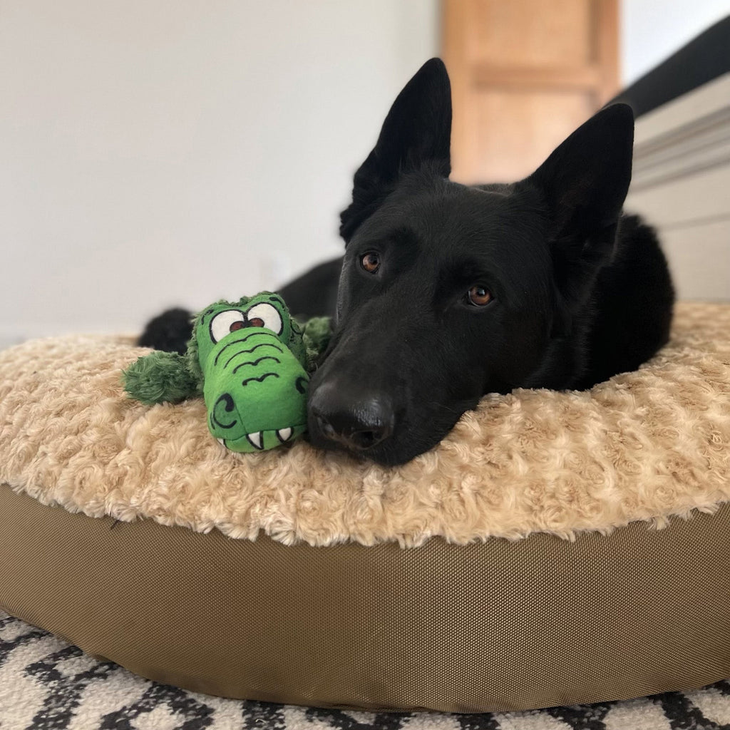 Dog Bed - Round  Furvana™