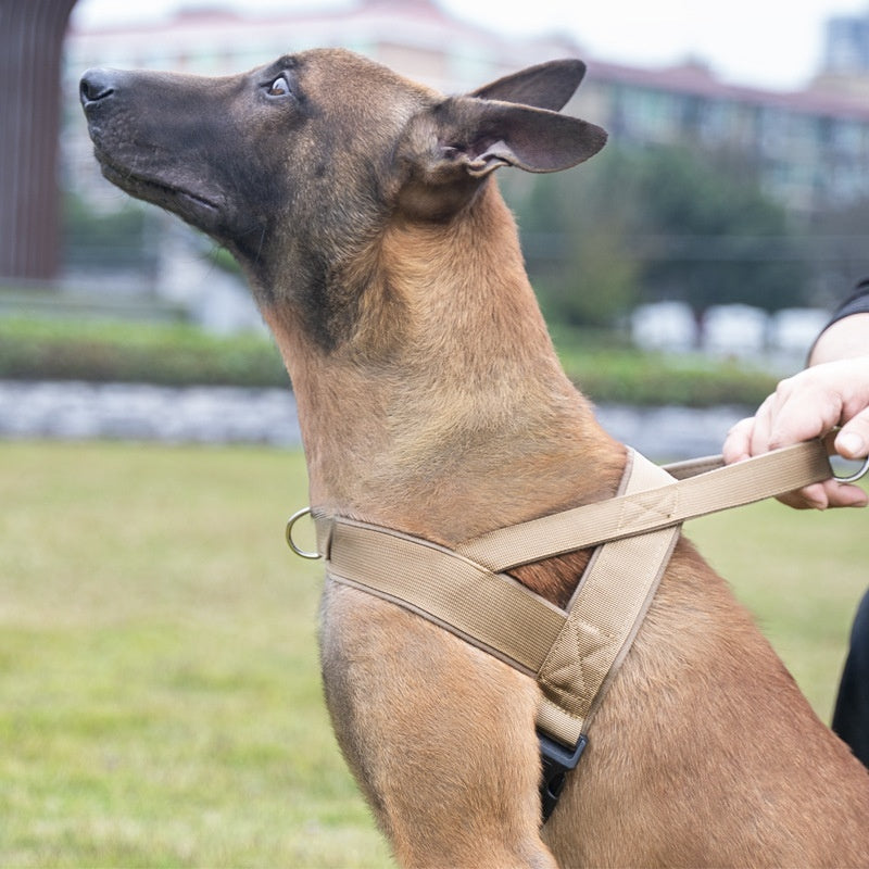Dog Vest-style Collar And Harness