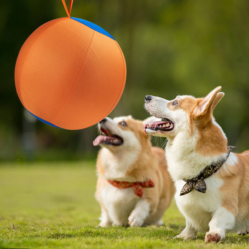 Giant Dog Ball Toy