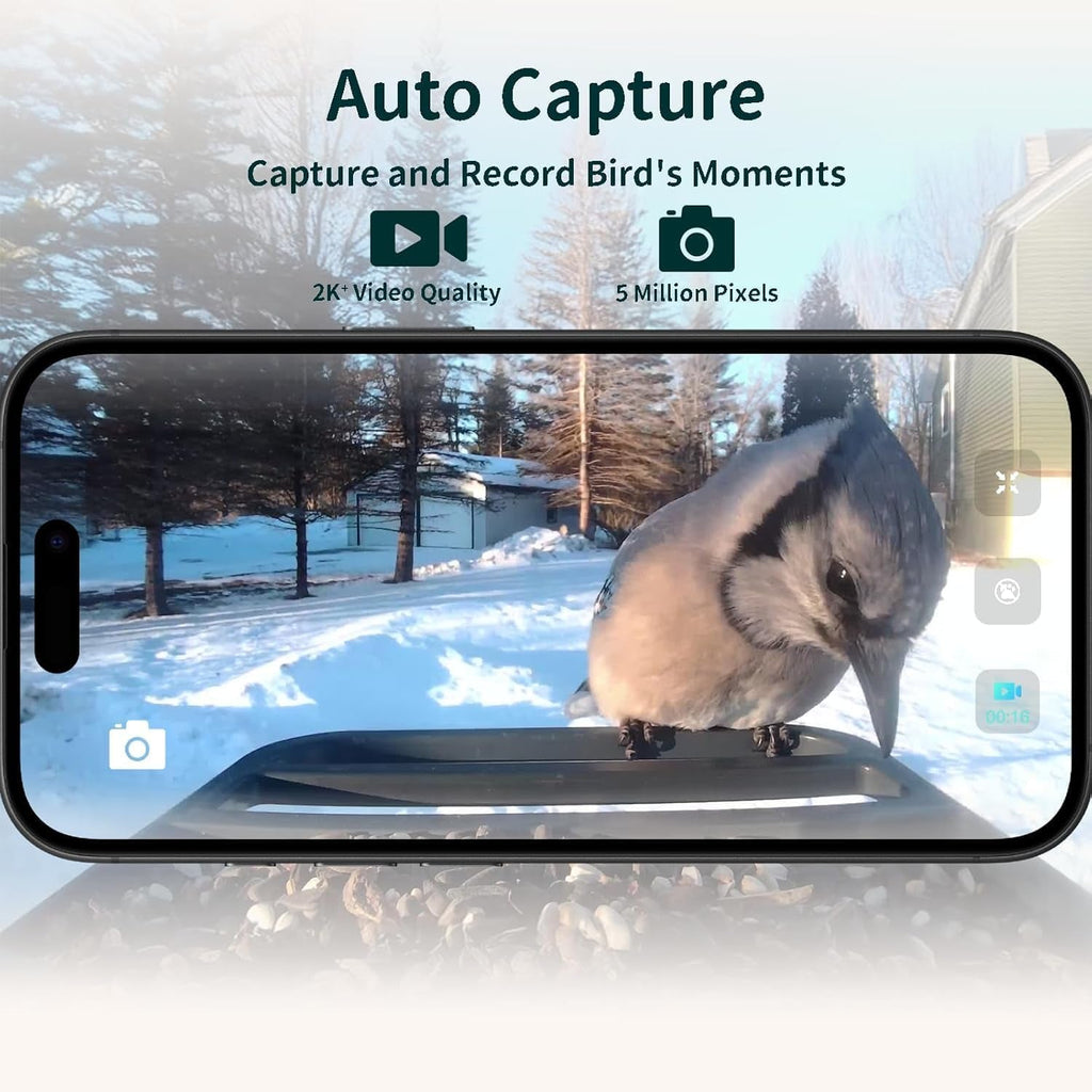 Smart Bird Feeder with Camera, 2K HD, Solar Power & AI Bird ID