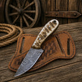 Cowboy Knife – 3.25" Damascus Steel Blade with Ram Horn Handle
