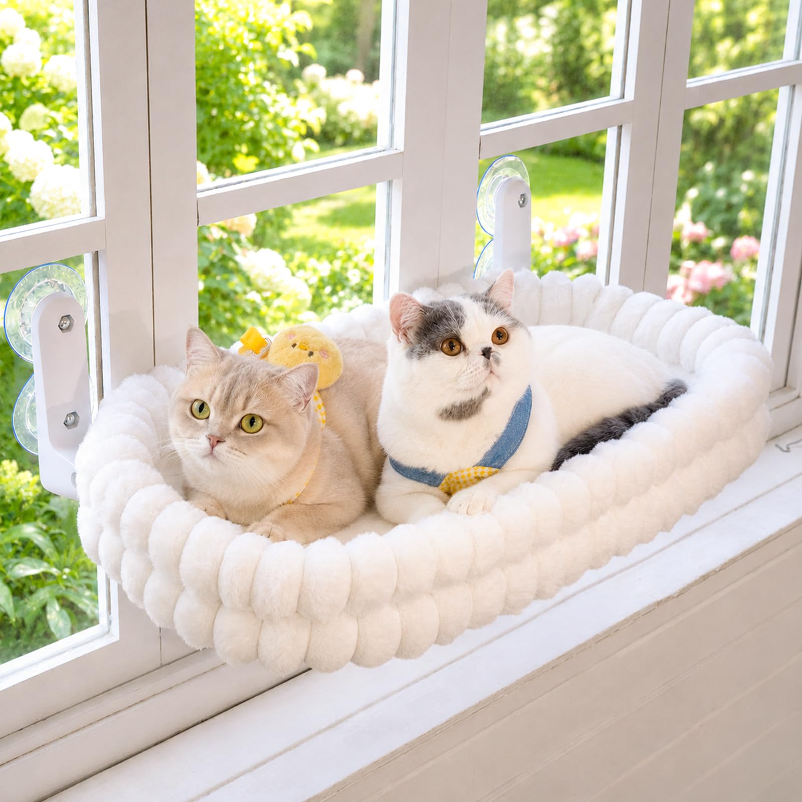 Cloud Cat Window Perch For Indoor Cats Hammock Bed Foldable Reversible Cushion Removable Washable, Breathable Soft All-Season, Sturdy Strong Suction Cups Support, Cordless