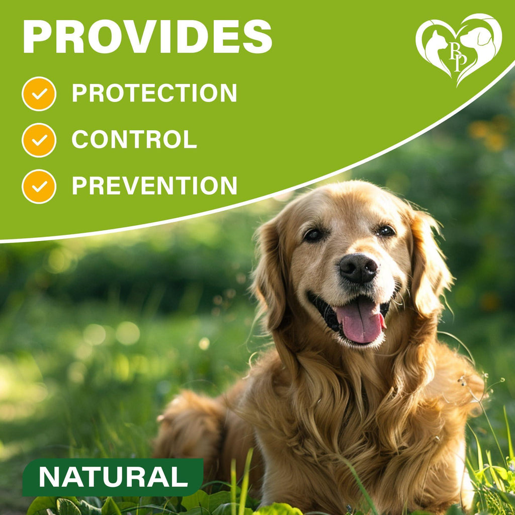 Flea & Tick Collar for Dogs 6-Month Protection Essential Oil 2 Count