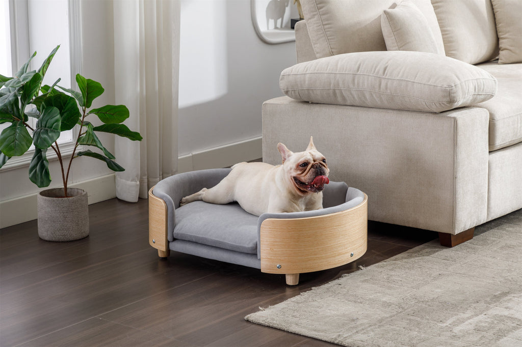 Scandinavian Style Elevated Dog Bed Sofa Velvet Cushion Mid Size Light Grey