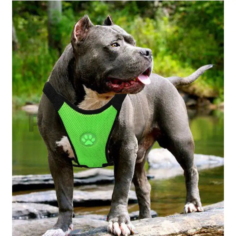 Dog  Breathable mesh chest straps for car safety